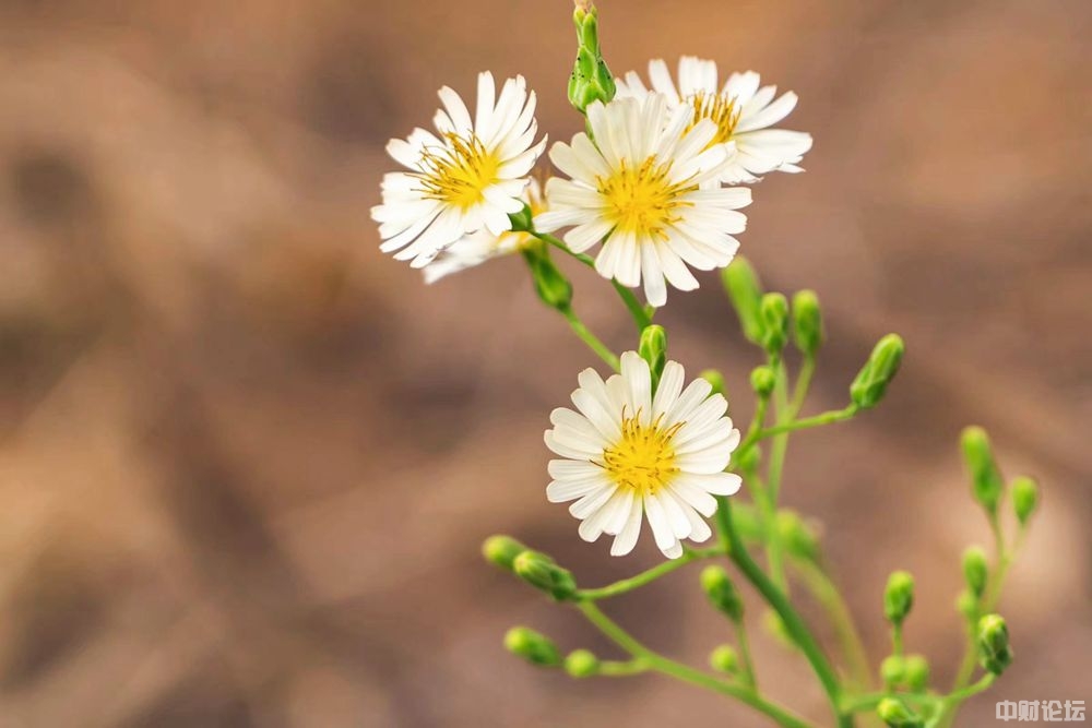 8654160f4c8ac3a9be.jpg 8654160f4c8ac3a9be.jpg