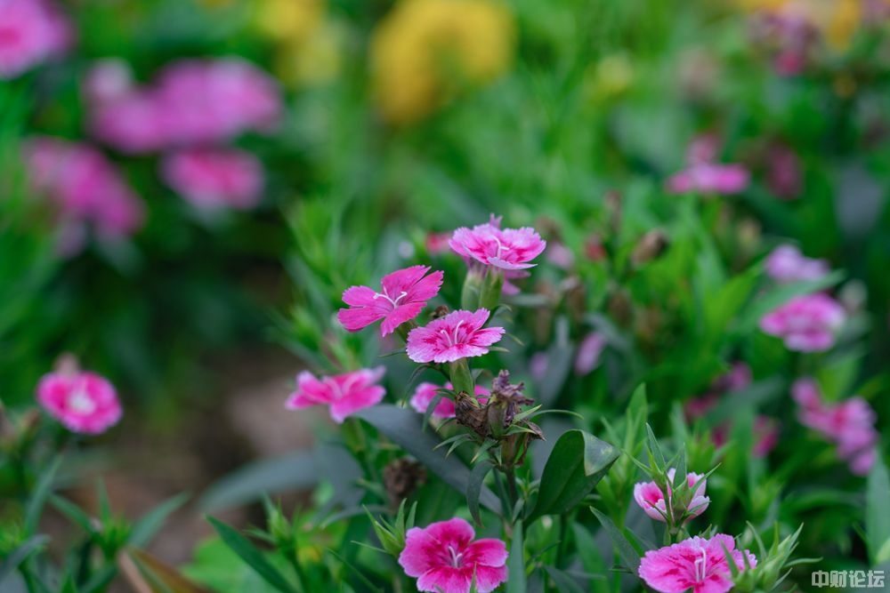 1463060f61a676053d.jpg 1463060f61a676053d.jpg