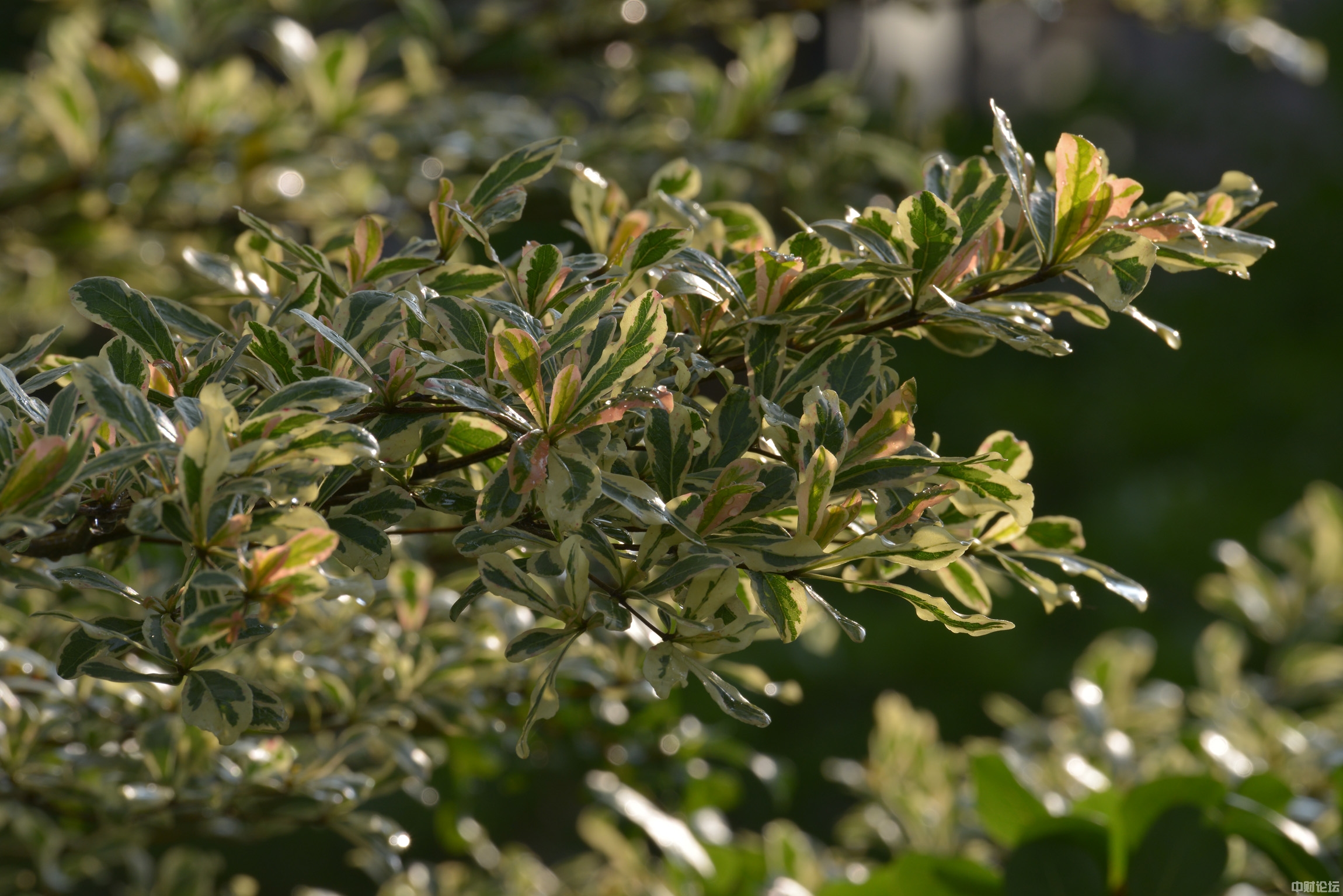 8560160f8bfb9946e1.jpg 8560160f8bfb9946e1.jpg