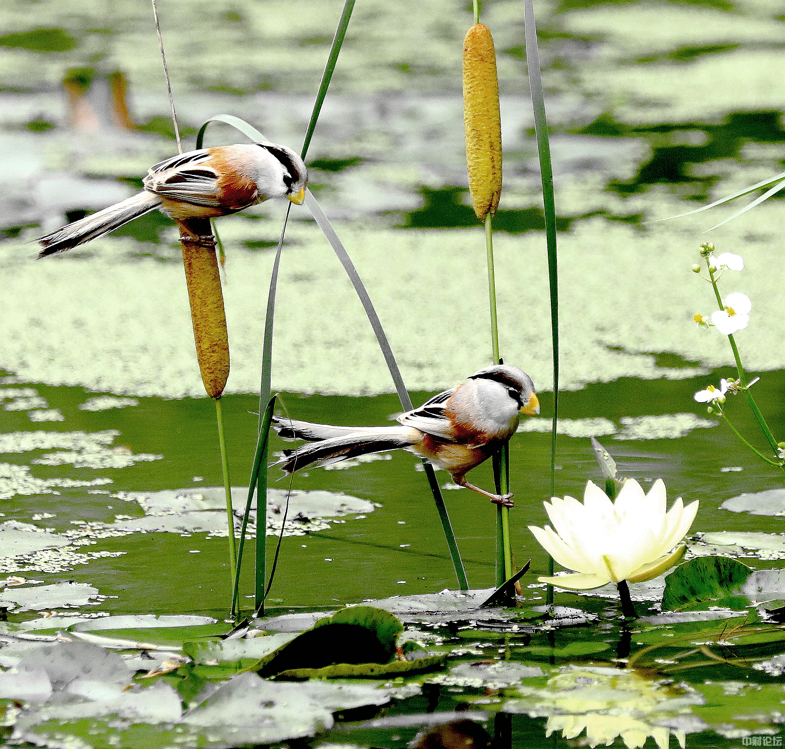 3426760ff5b42ddf7d.jpg 3426760ff5b42ddf7d.jpg