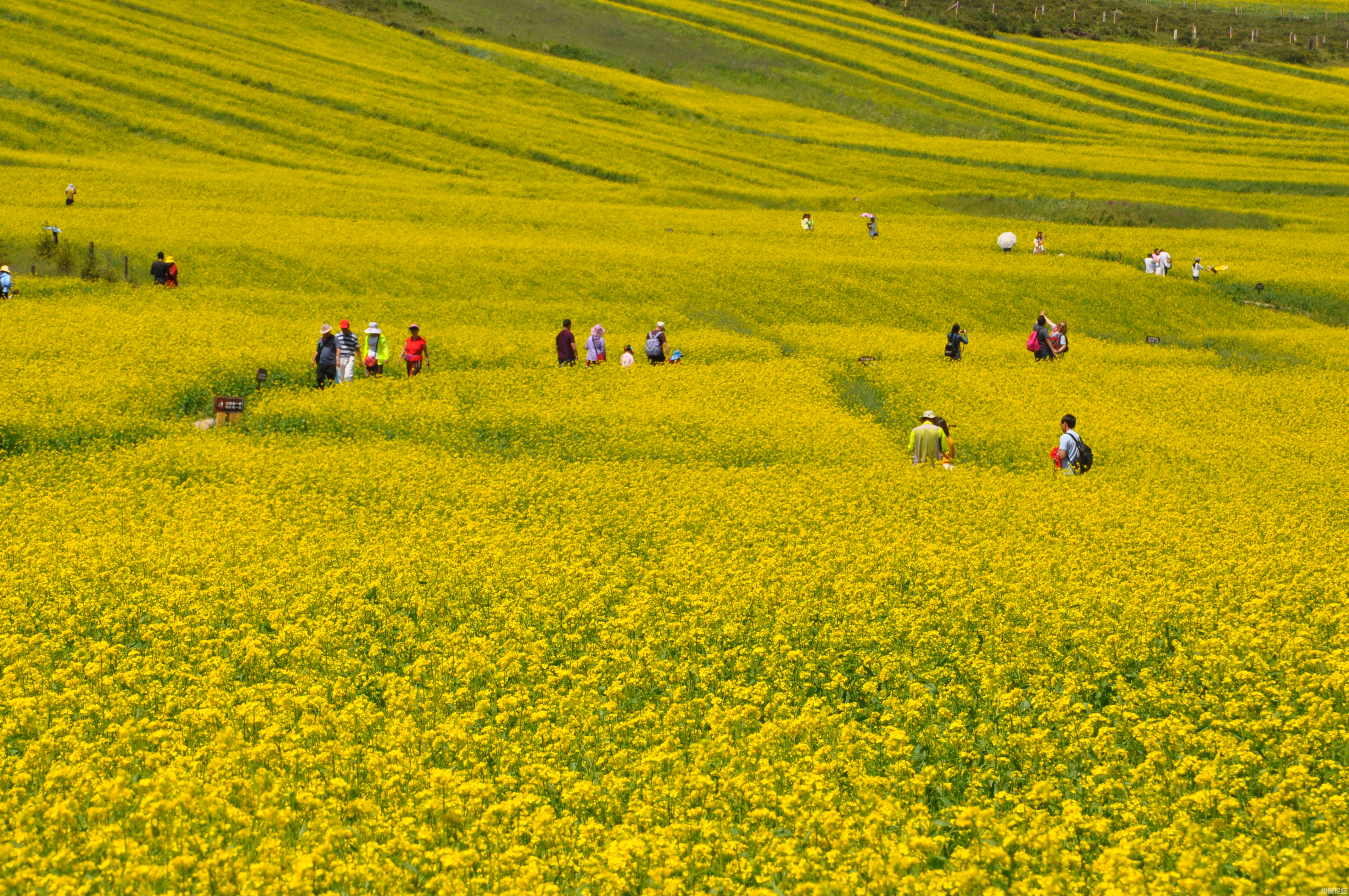 81331610753359667c.jpg 81331610753359667c.jpg