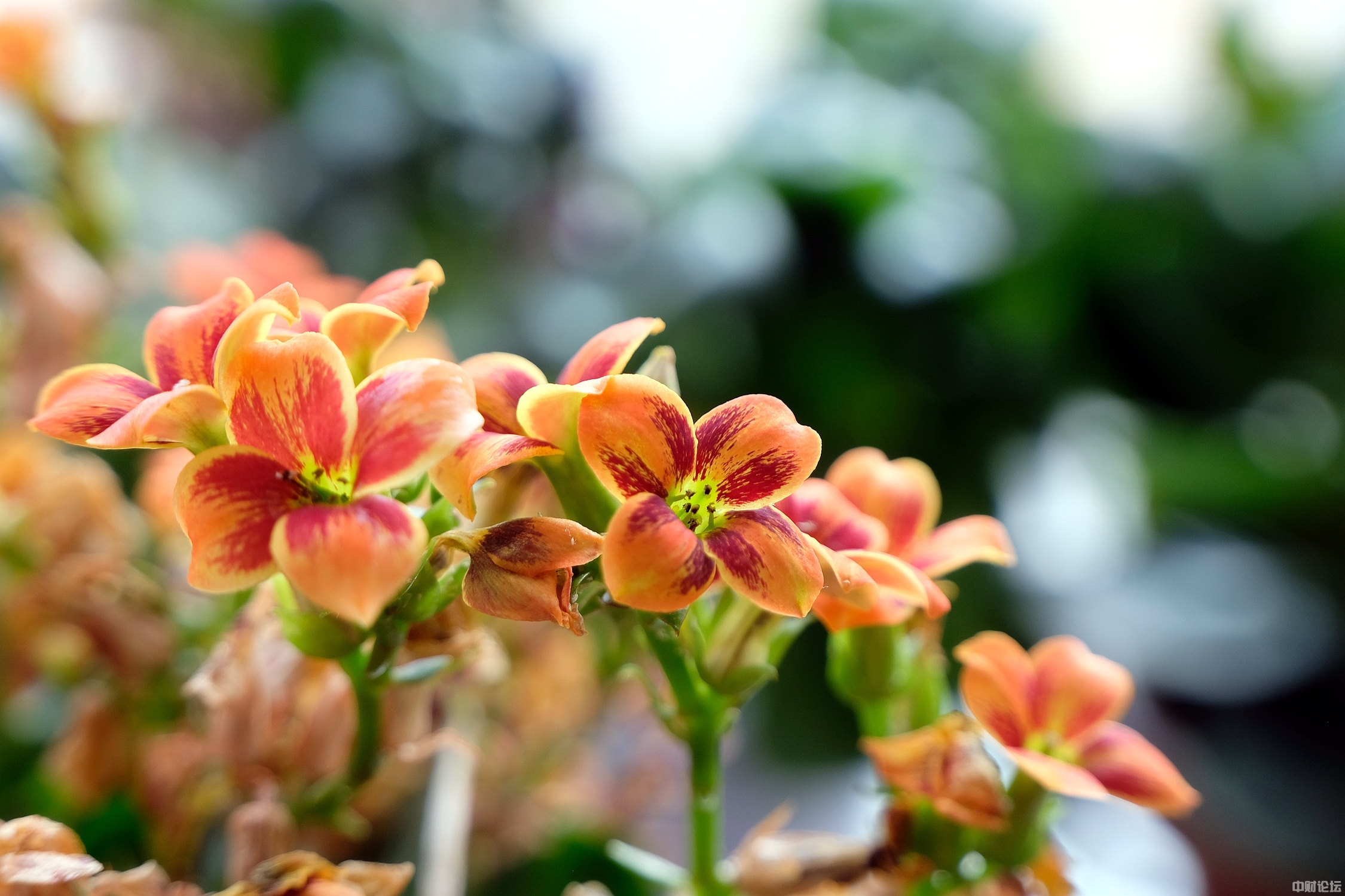 78095610b341905f63.jpg 78095610b341905f63.jpg