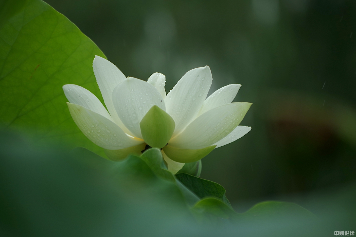 4748561107ad553528.jpg 4748561107ad553528.jpg