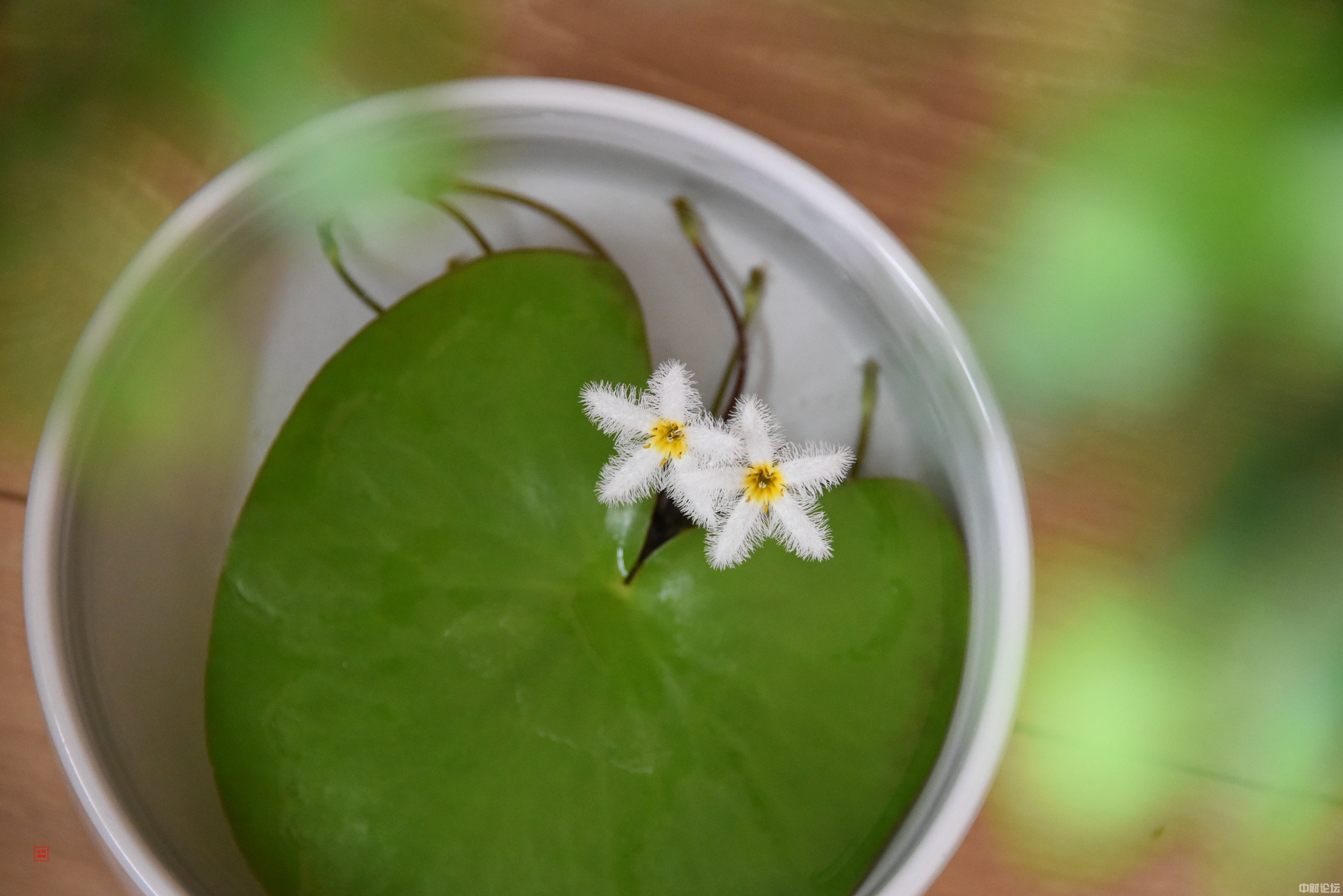 461406111d1bed0398.jpg 461406111d1bed0398.jpg