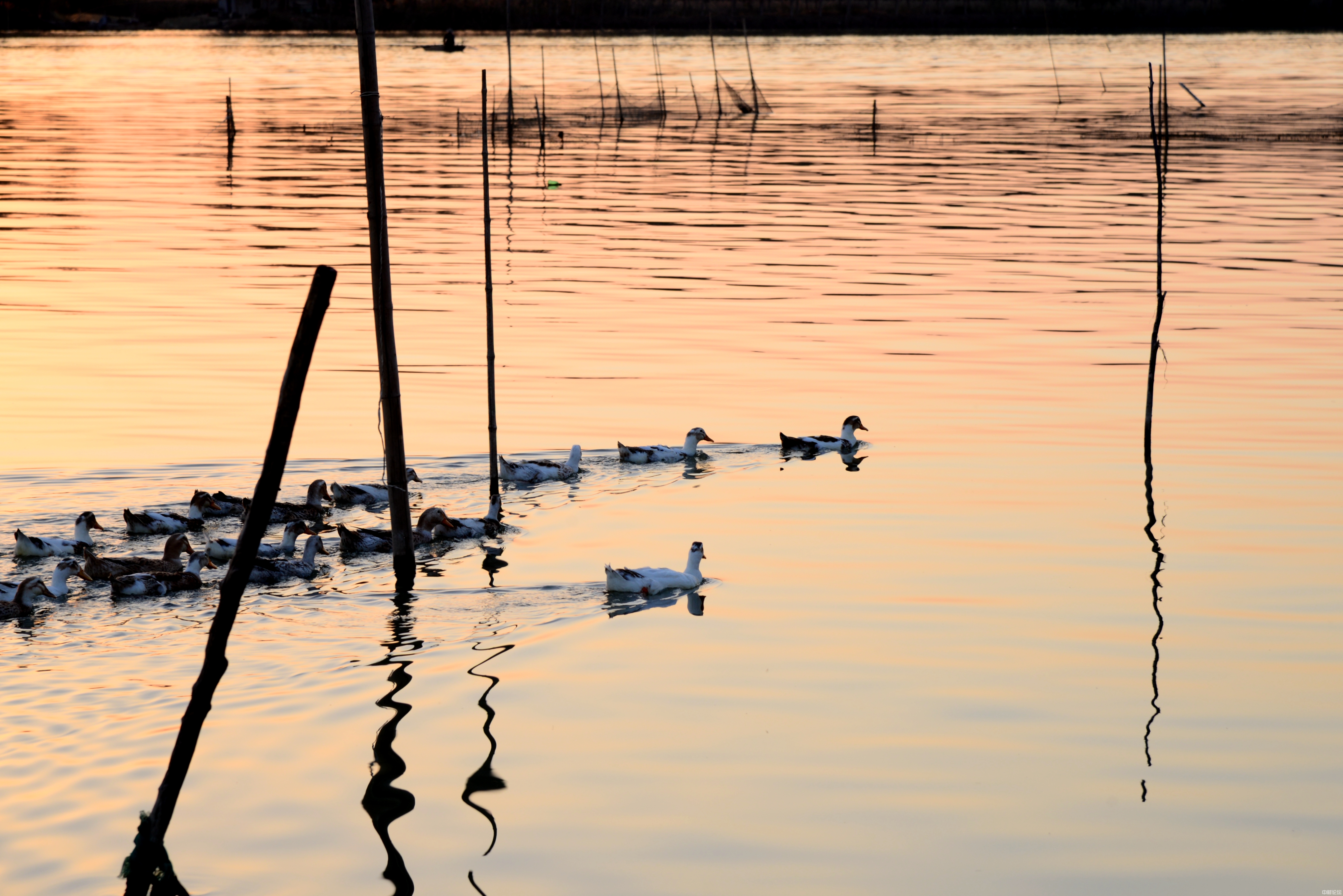 74865611470538b0b2.jpg 74865611470538b0b2.jpg