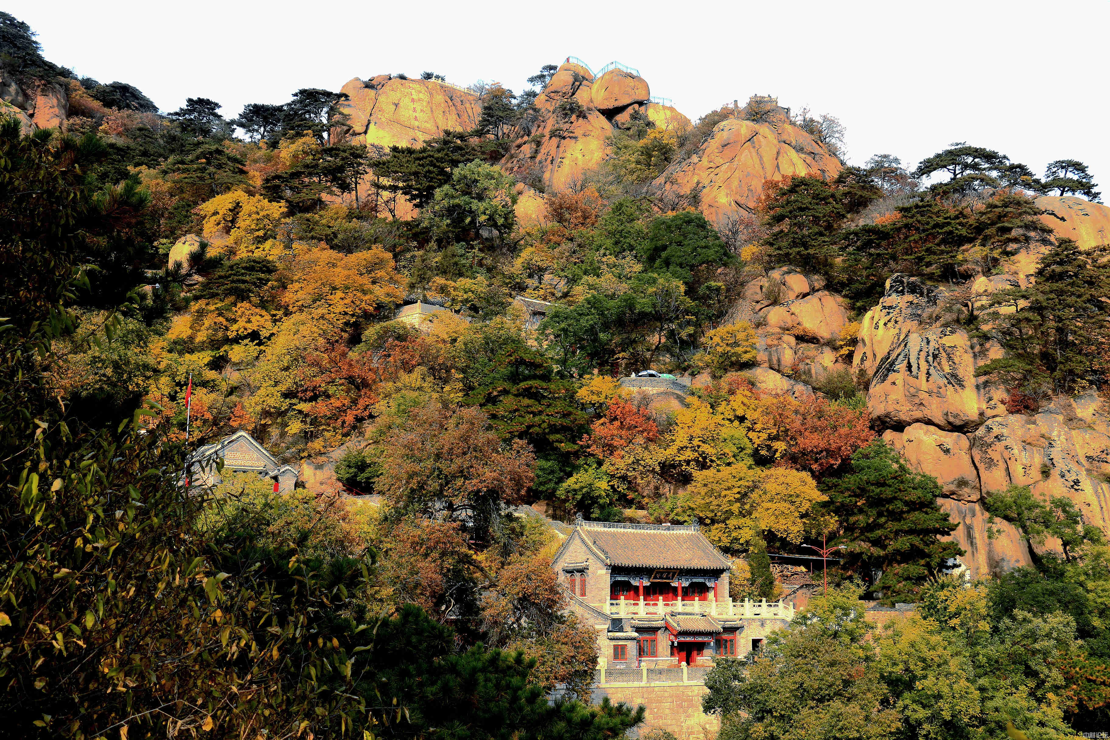 217486119c41113545.jpg 217486119c41113545.jpg