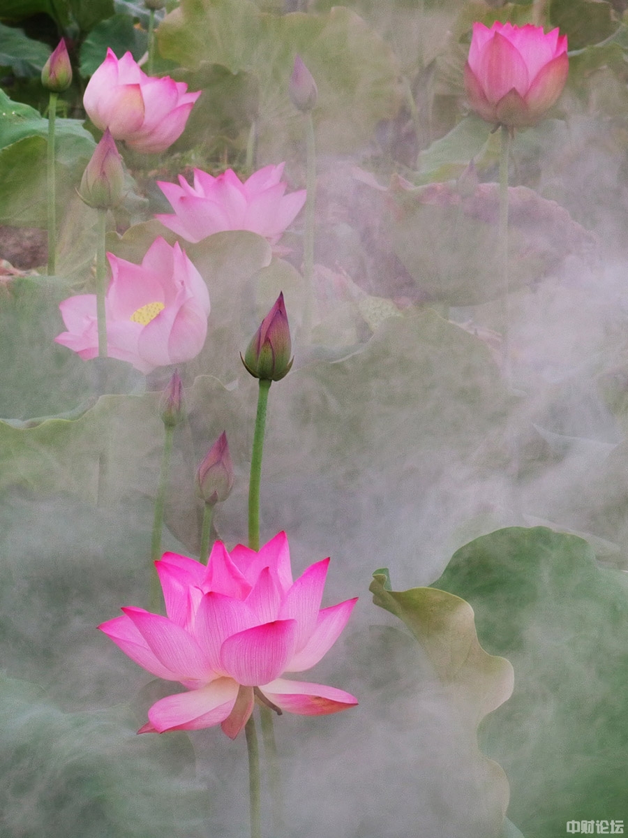 48452611c56d75f6cd.jpg 48452611c56d75f6cd.jpg