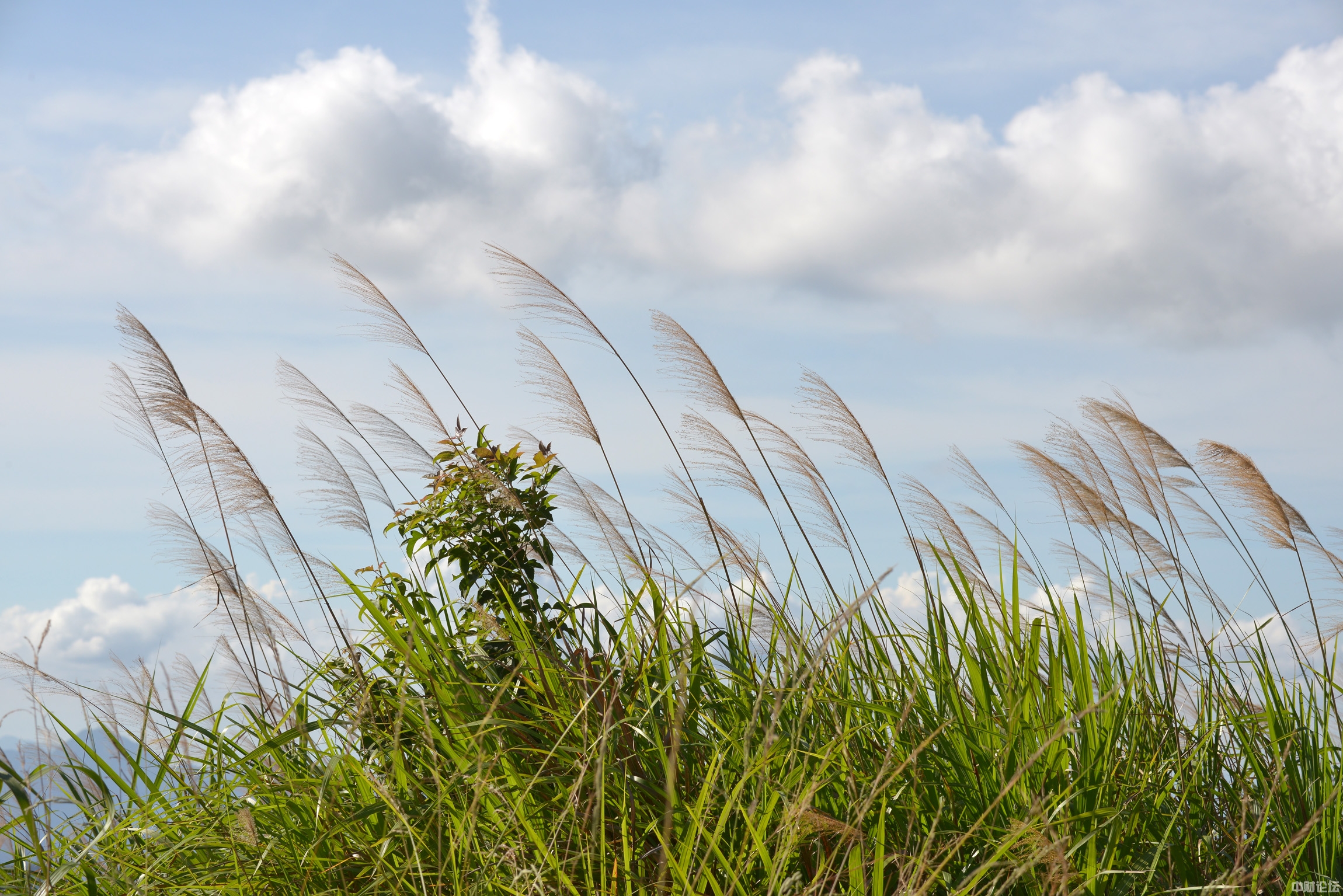 33845611da75fe80bd.jpg 33845611da75fe80bd.jpg