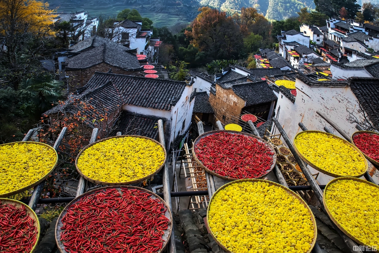 5345561283445b1620.jpg 5345561283445b1620.jpg