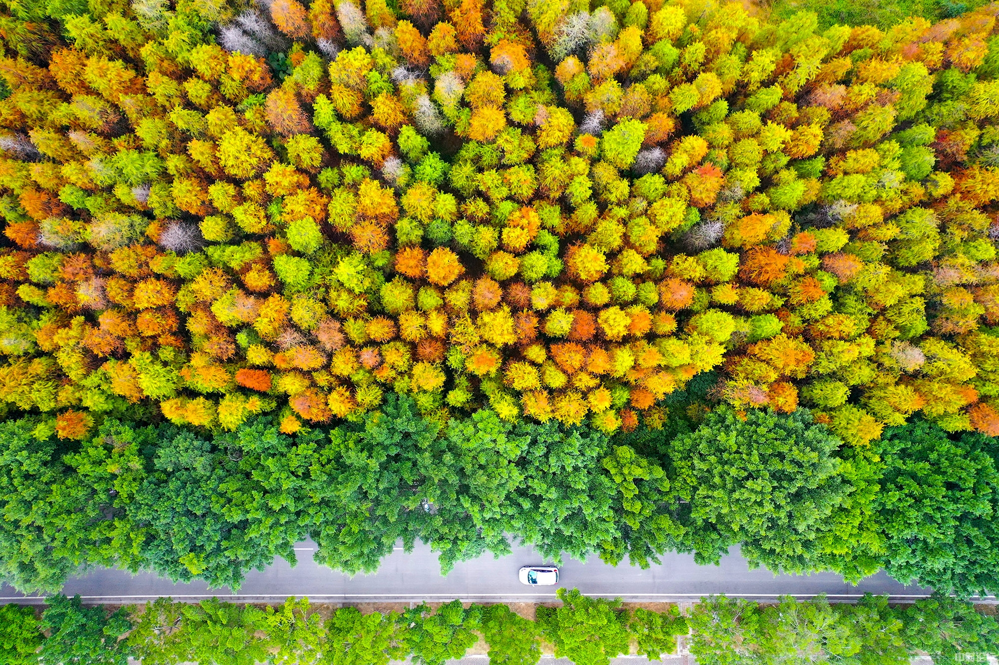 86493613561bf48c47.jpg 86493613561bf48c47.jpg