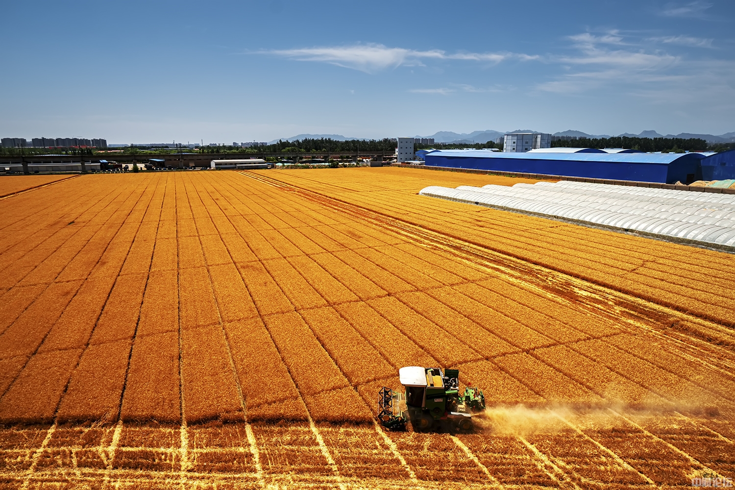 160316136b8ca09562.jpg 160316136b8ca09562.jpg