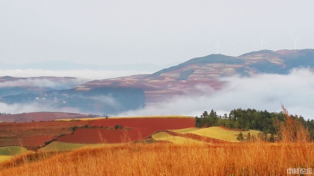 25489613805f5190bf.jpg 25489613805f5190bf.jpg