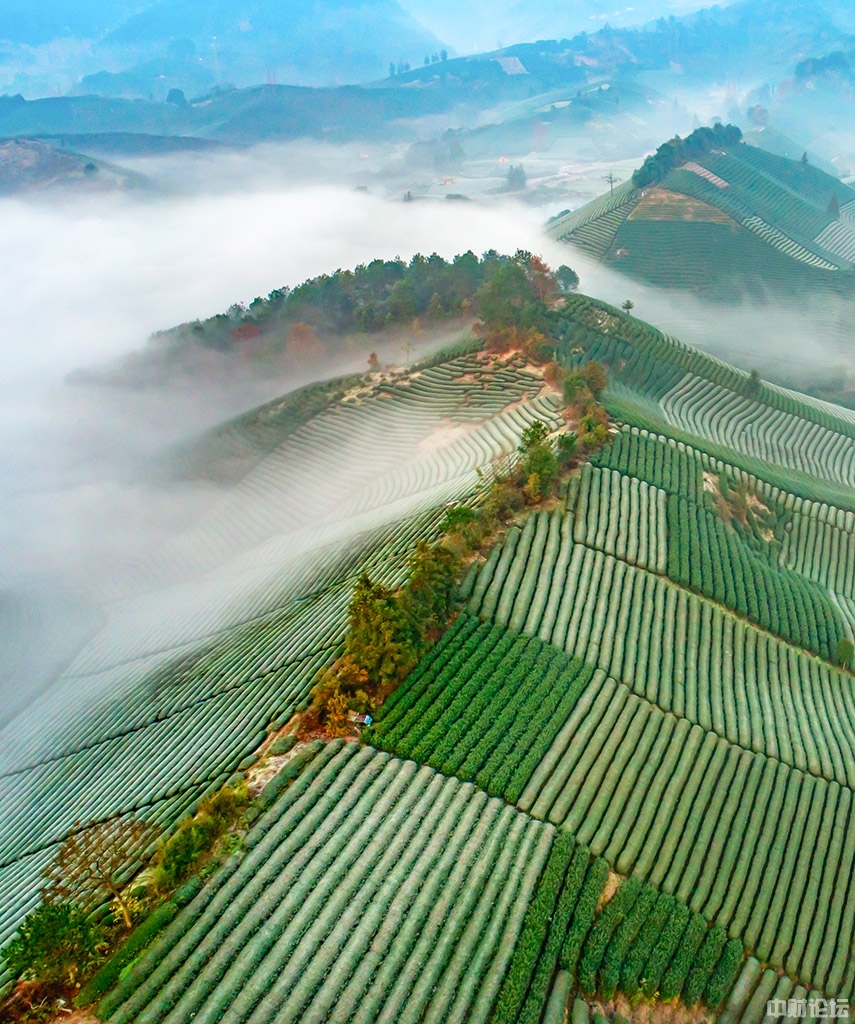 279076142964f425b1.jpg 279076142964f425b1.jpg