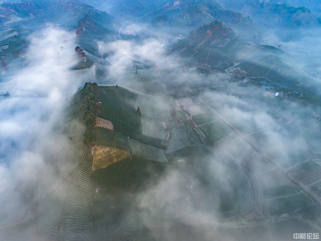 87780614533ead94d7.jpg 87780614533ead94d7.jpg