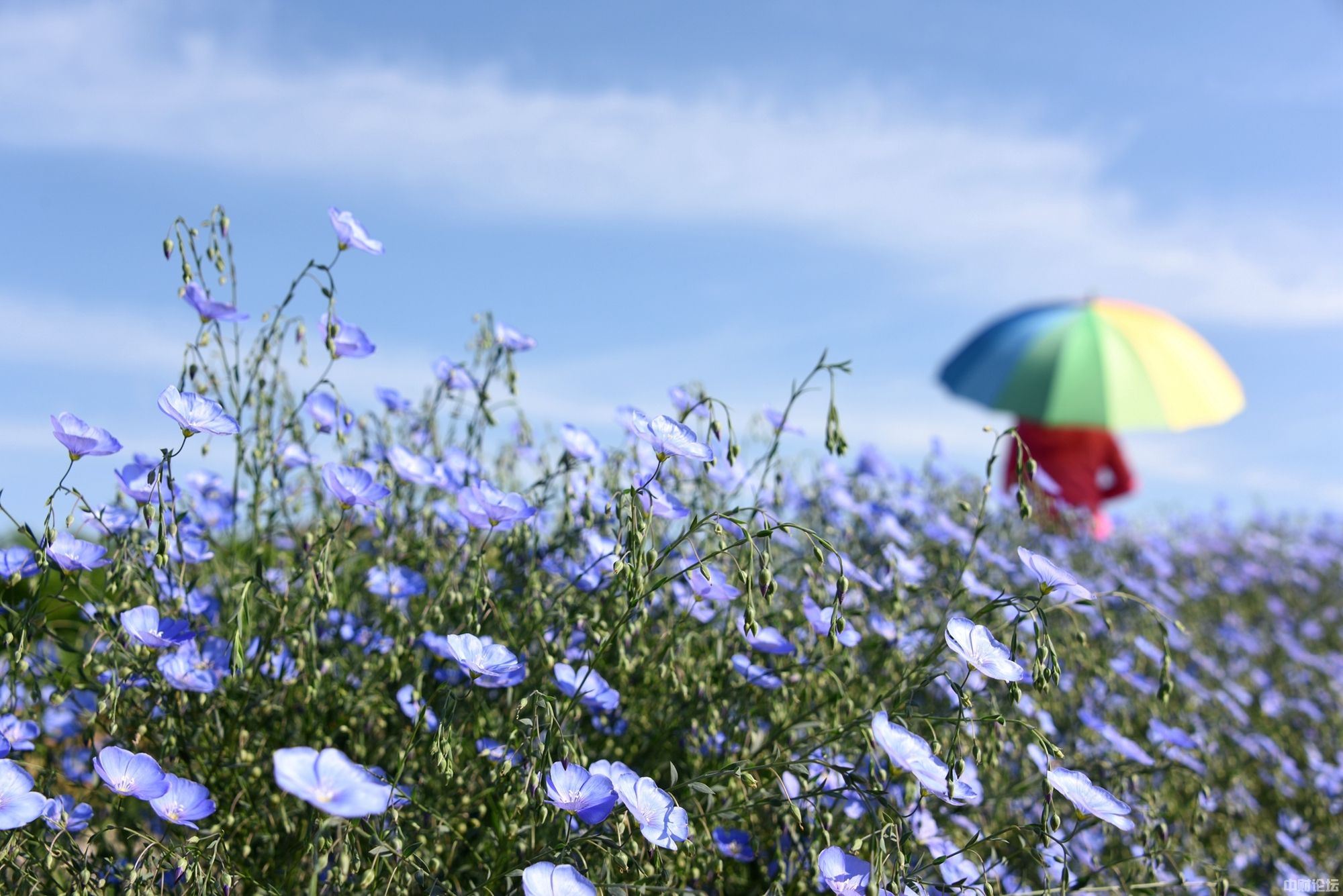 20775614a7eae766a5.jpg 20775614a7eae766a5.jpg