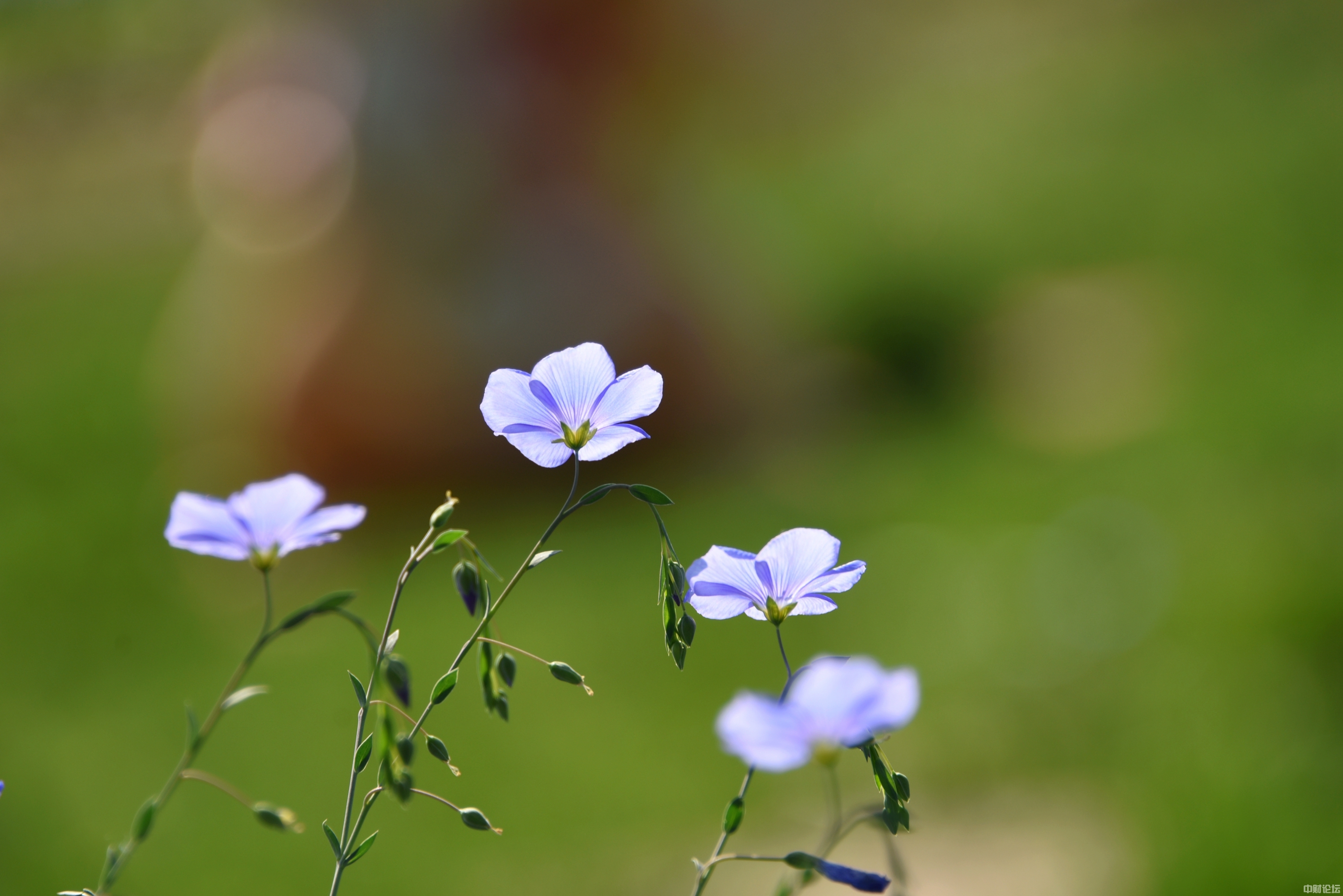 19604614bd13501090.jpg 19604614bd13501090.jpg