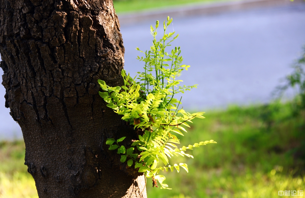 6269061511131e8bb4.jpg 6269061511131e8bb4.jpg