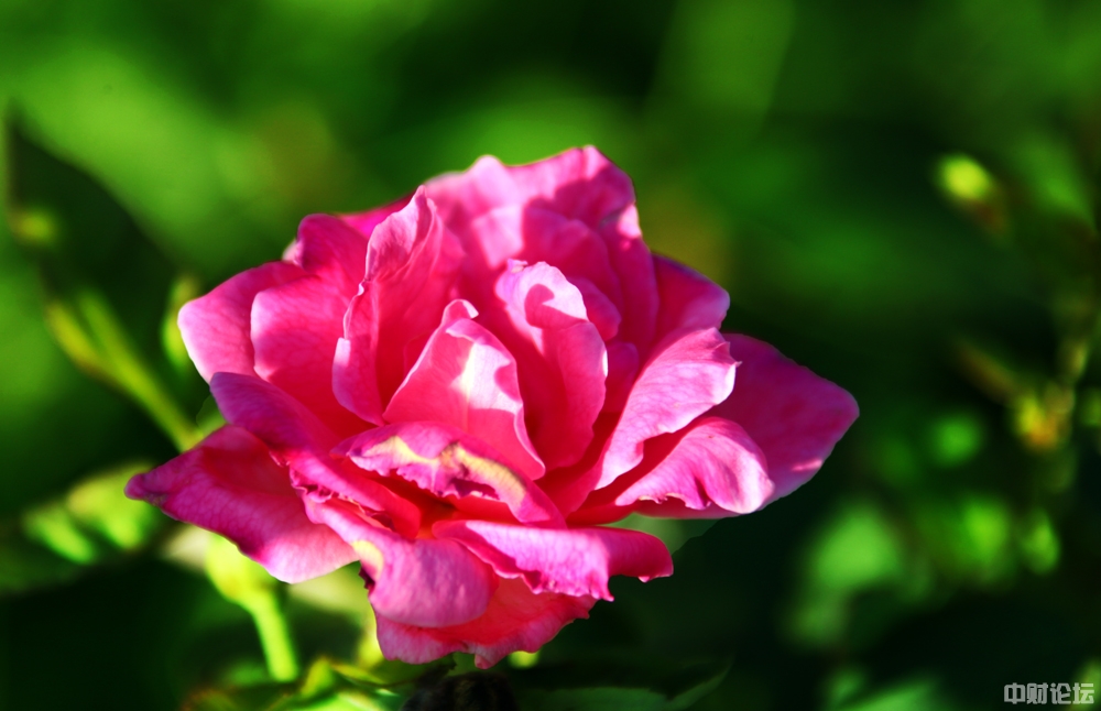 452446152665a6a99c.jpg 452446152665a6a99c.jpg