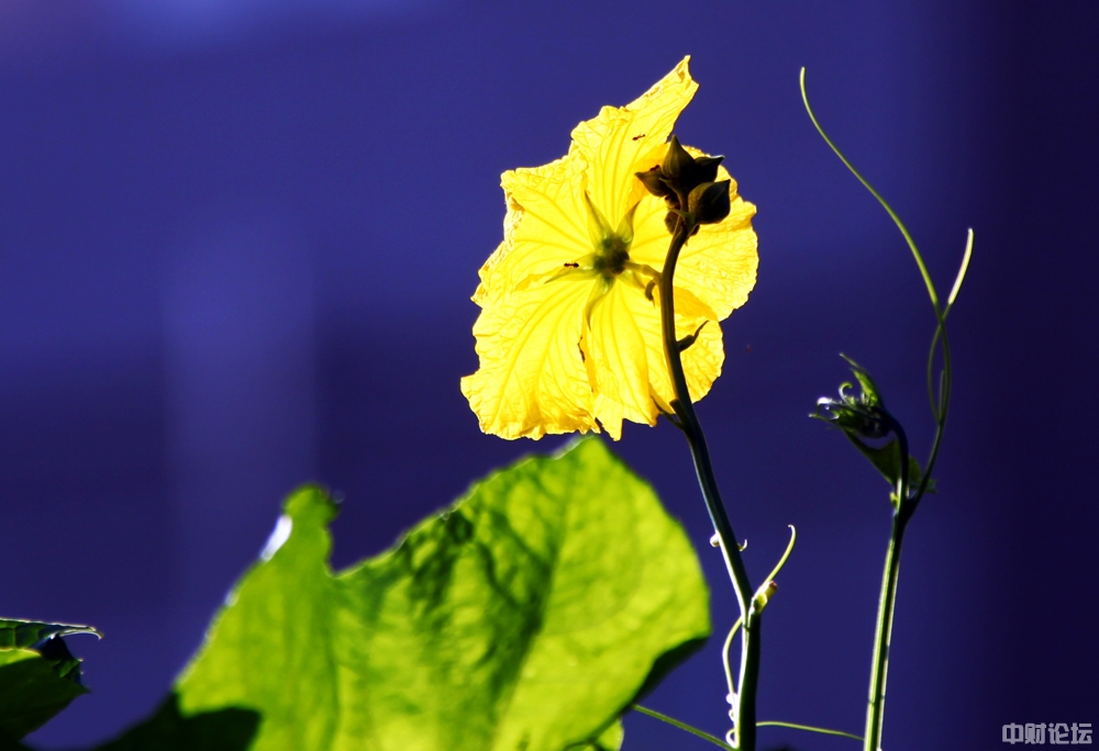 2264061550fabee675.jpg 2264061550fabee675.jpg