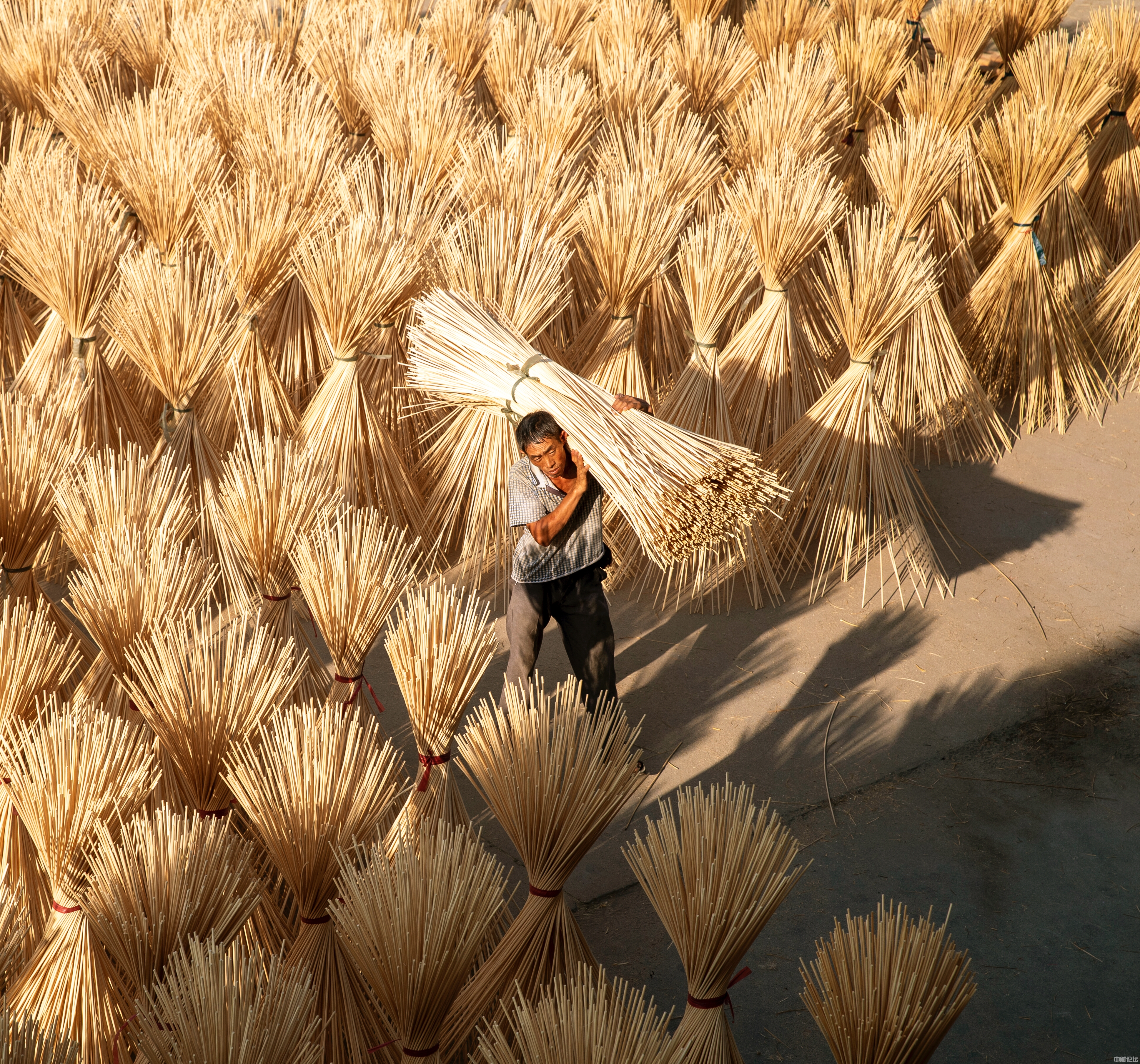 8645861662a9be0a2d.jpg 8645861662a9be0a2d.jpg