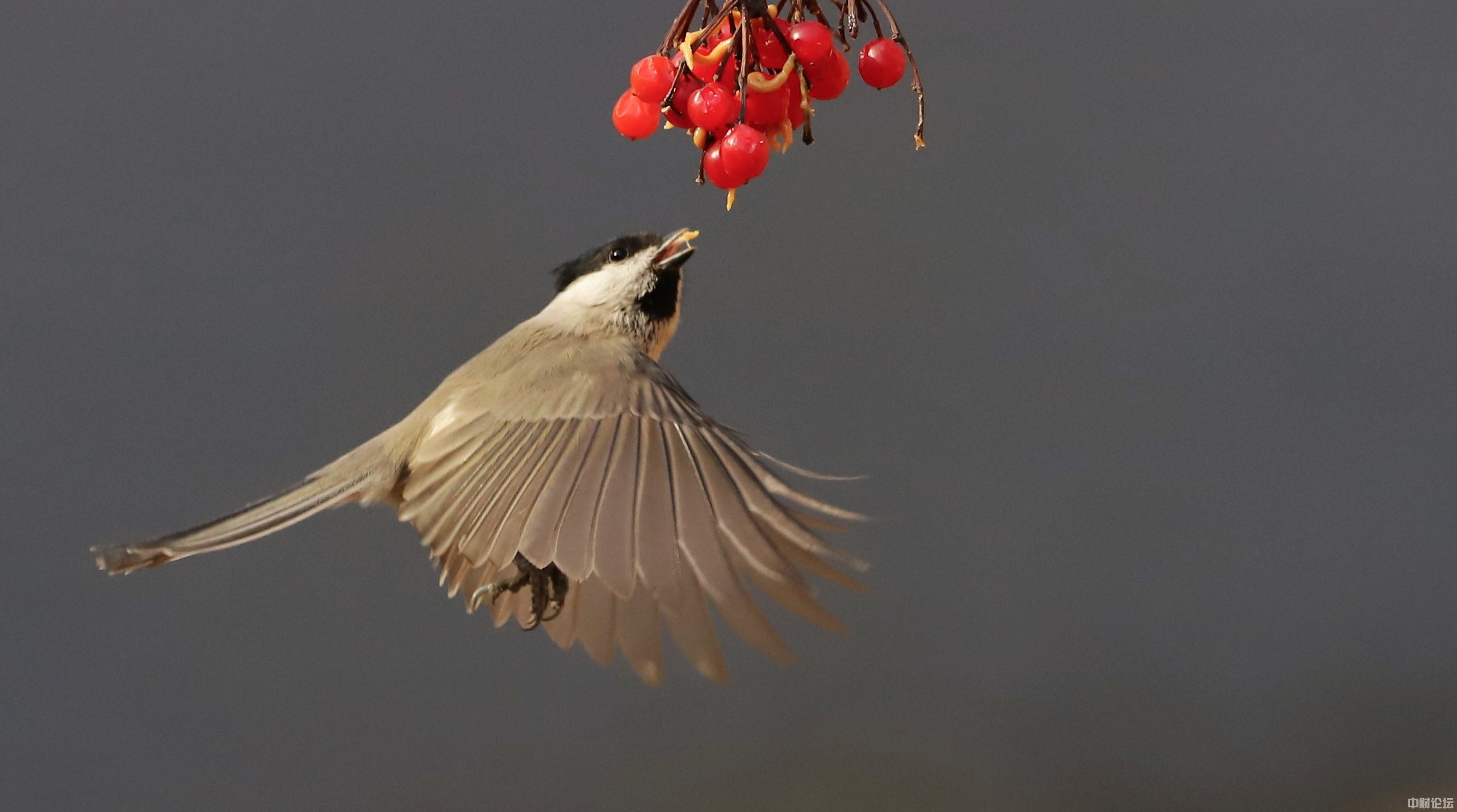 122536170bcf69c178.jpg 122536170bcf69c178.jpg