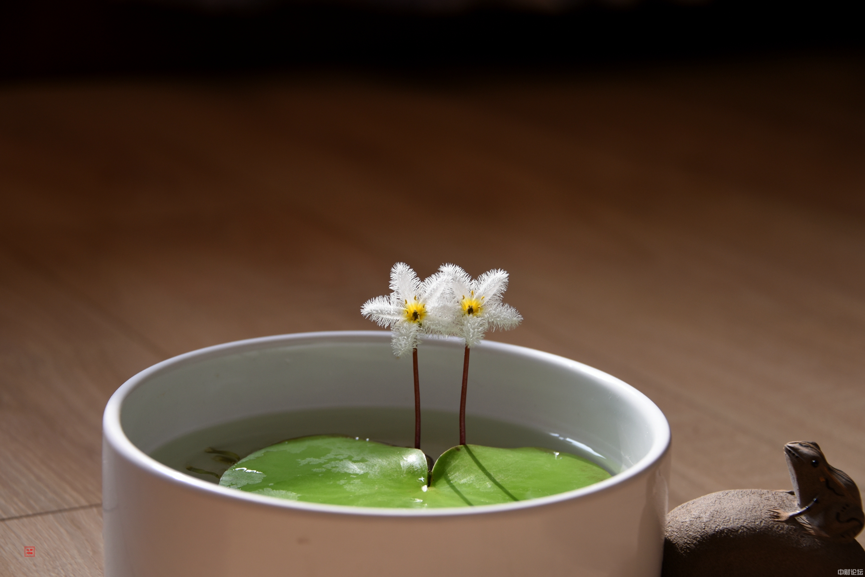 192456179f2a63bba6.jpg 192456179f2a63bba6.jpg