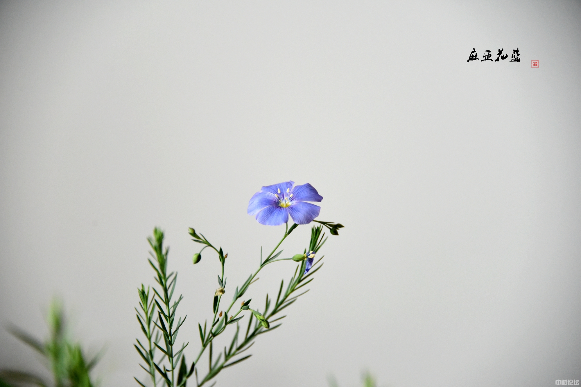 79417617f4ffacdba1.jpg 79417617f4ffacdba1.jpg