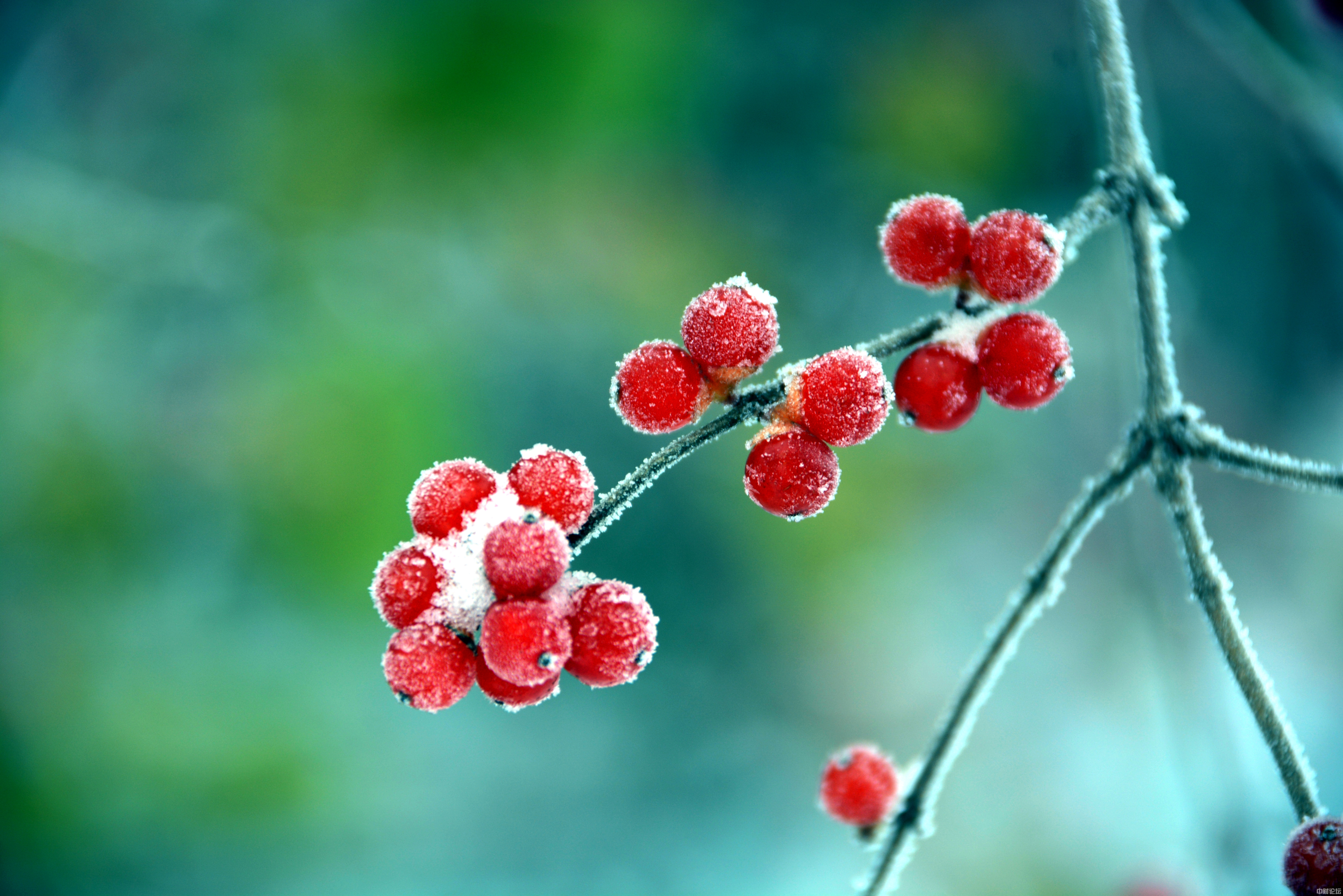 61232618872a5c190f.jpg 61232618872a5c190f.jpg