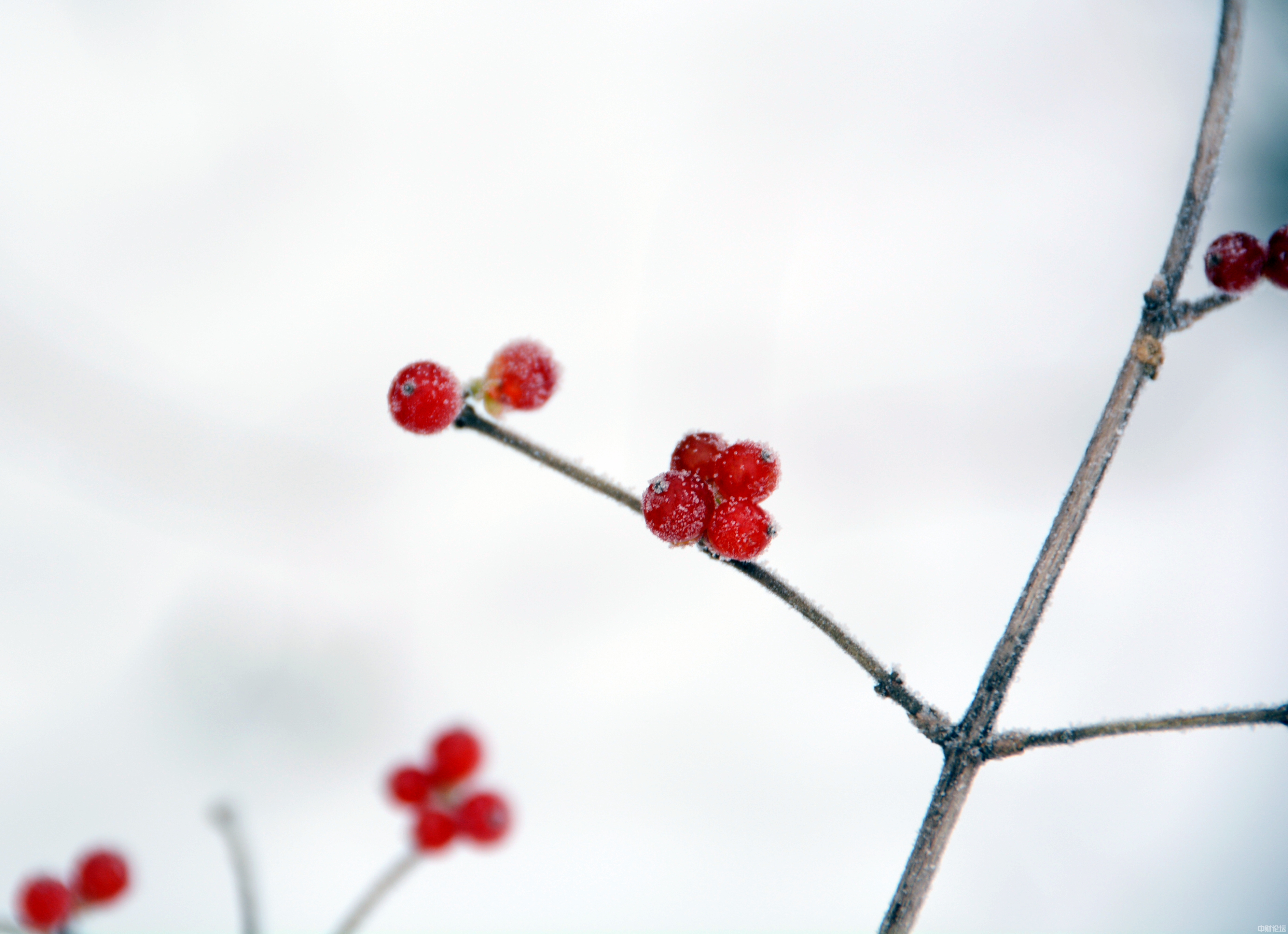 750956189c440d7dca.jpg 750956189c440d7dca.jpg