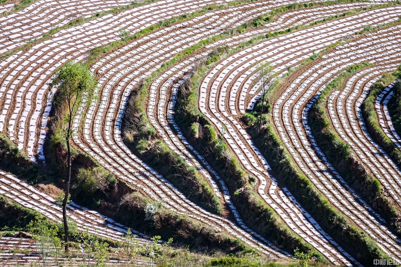 93322619d8ea09585e.jpg 93322619d8ea09585e.jpg