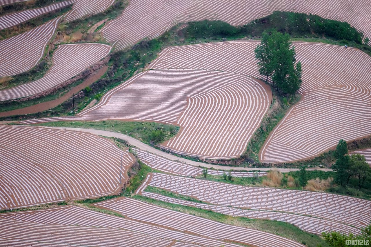 77087619edb3c016c4.jpg 77087619edb3c016c4.jpg