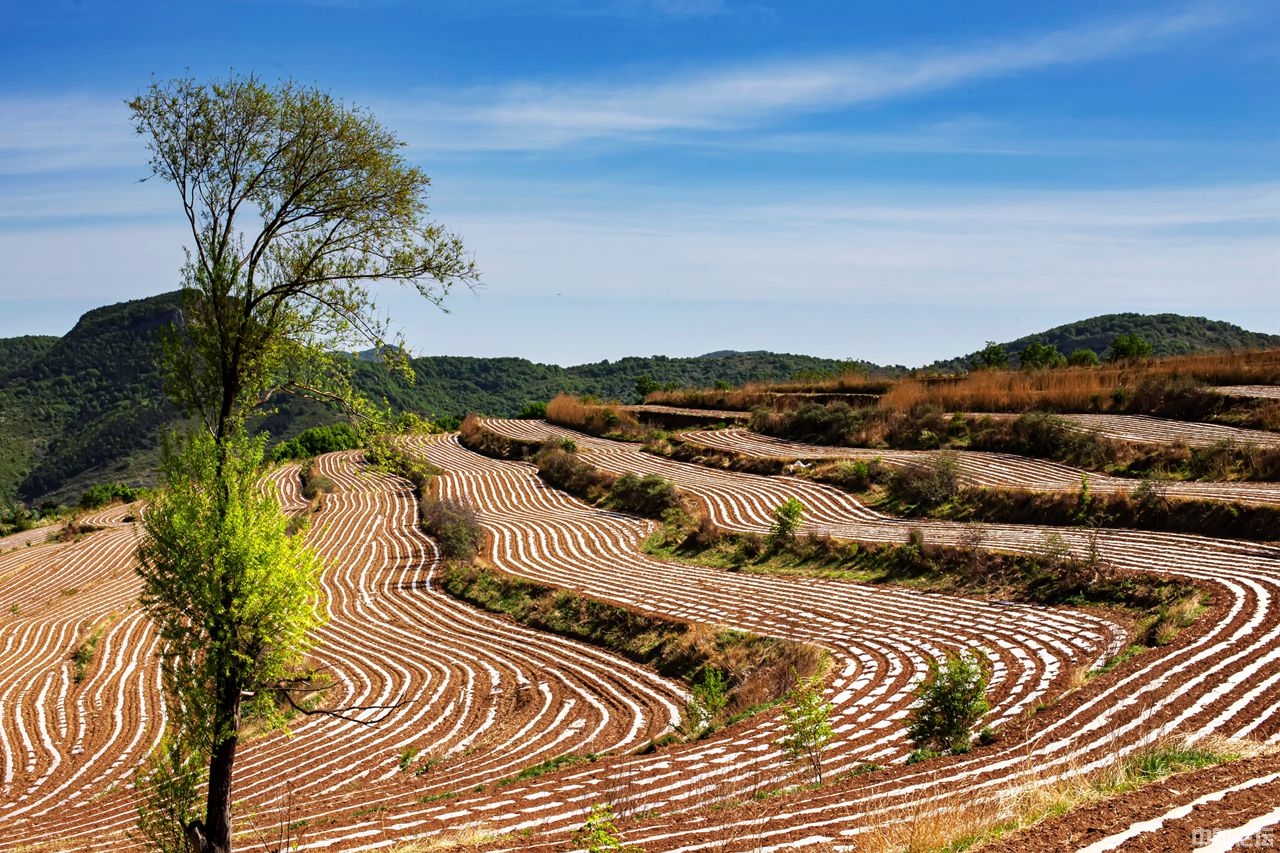 6893161a46e0e4bf7a.jpg 6893161a46e0e4bf7a.jpg