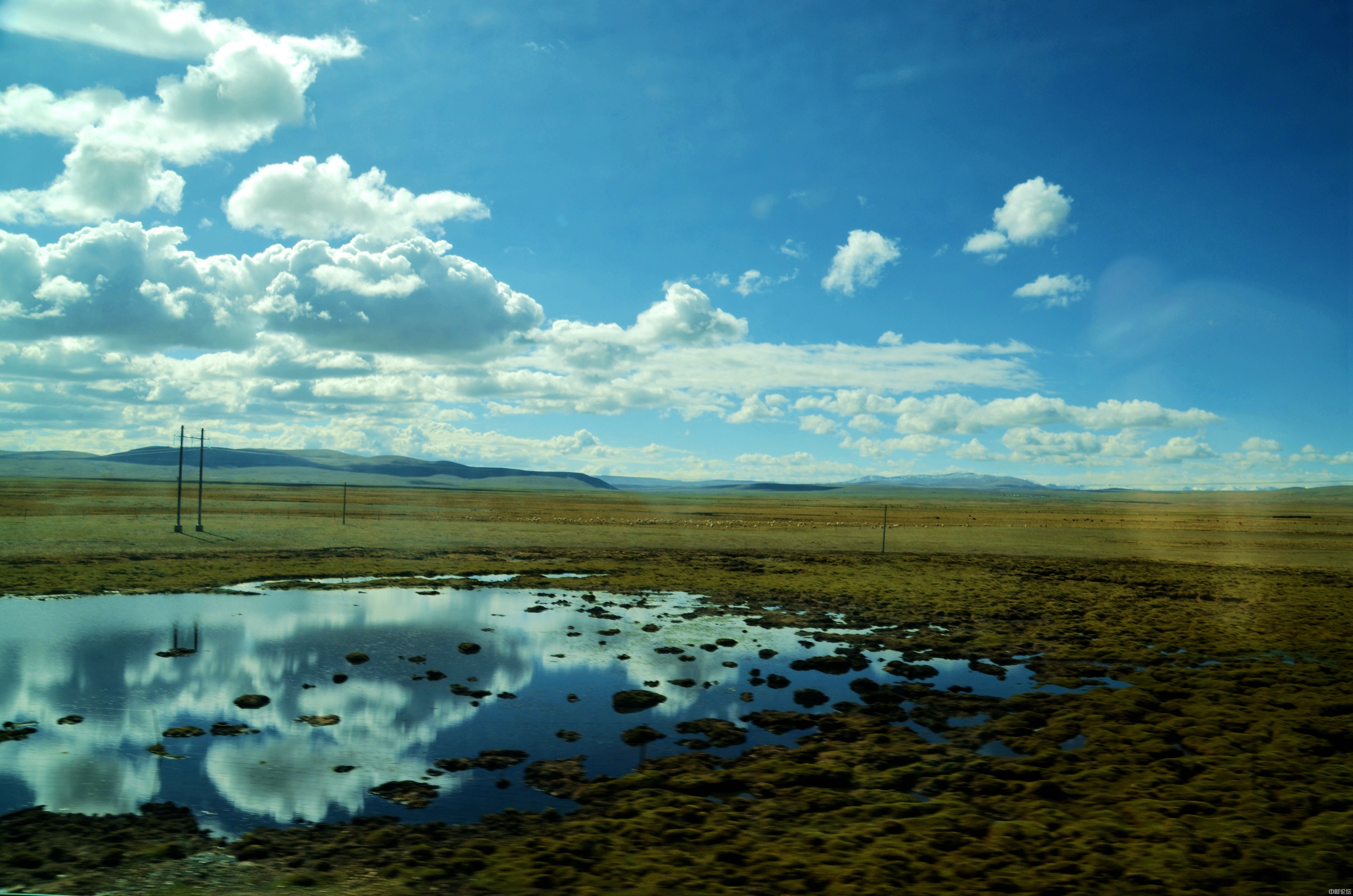 8827861a81636dada1.jpg 8827861a81636dada1.jpg