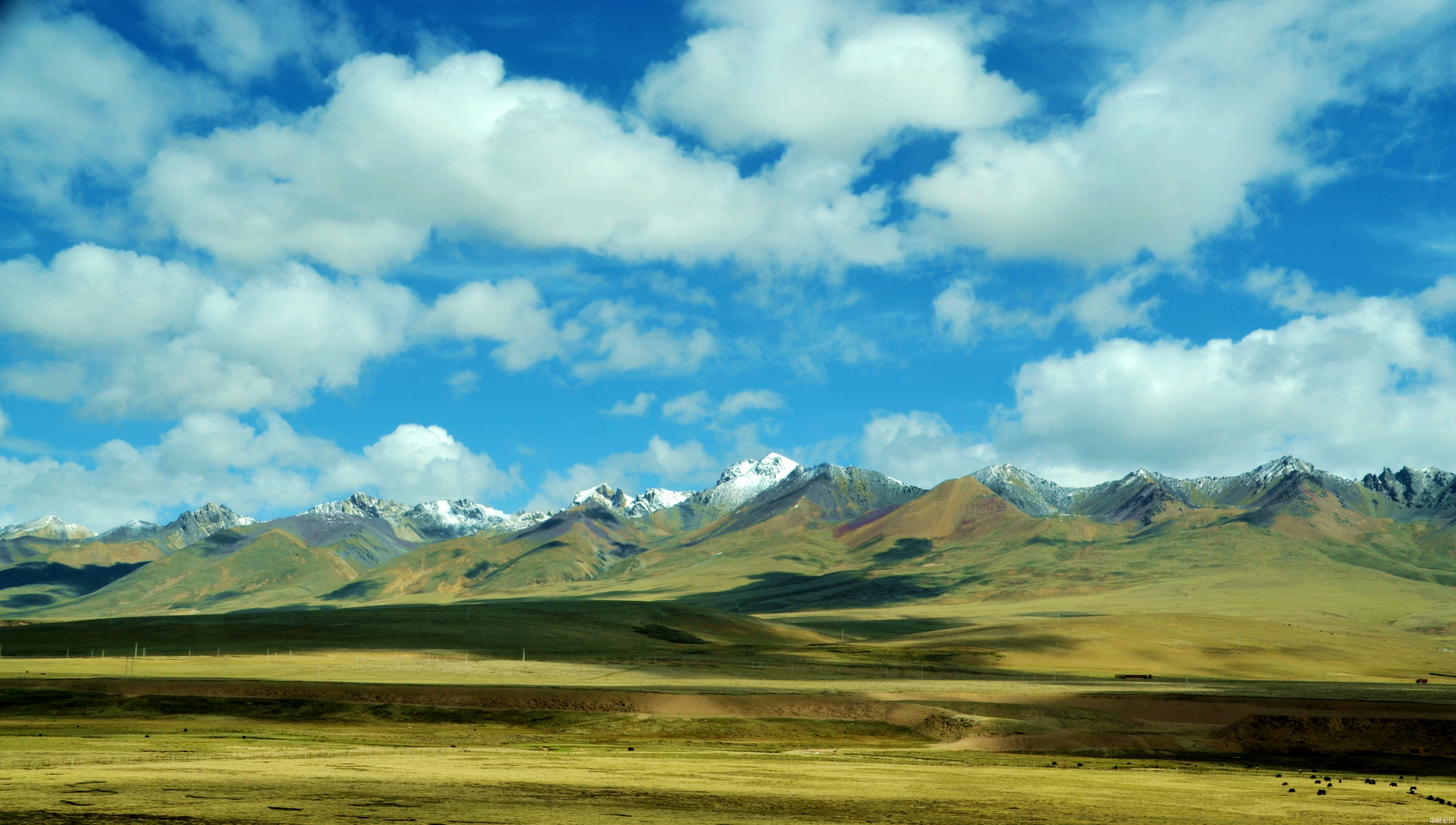 8722861a966cf5293f.jpg 8722861a966cf5293f.jpg