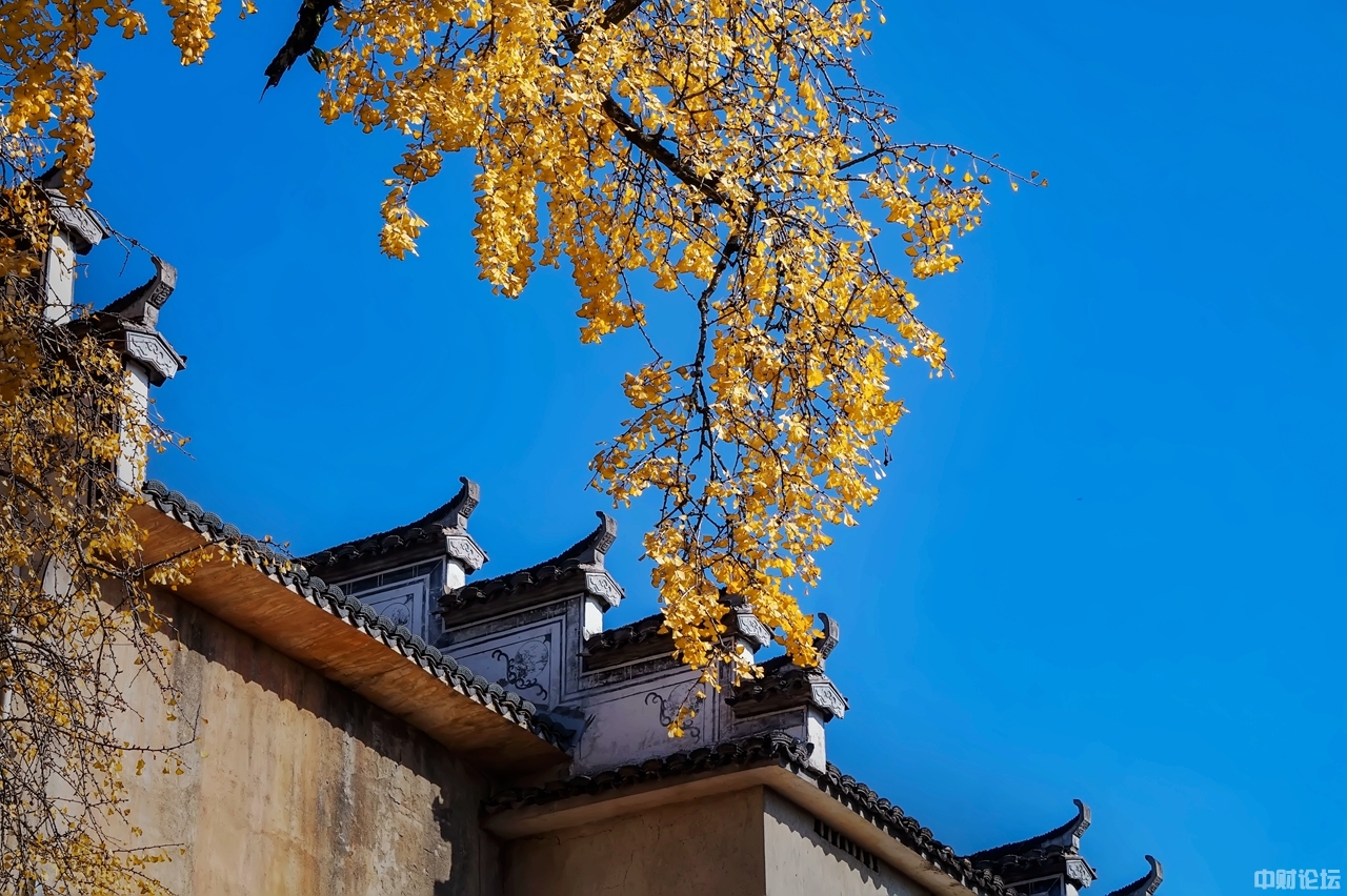 6624761b69e1ee9c96.jpg 6624761b69e1ee9c96.jpg