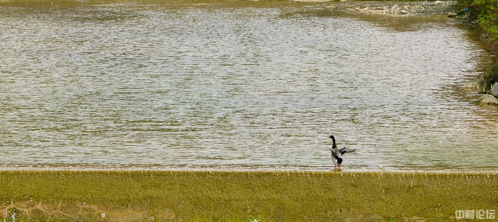 4556261ba98e91182c.jpg 4556261ba98e91182c.jpg