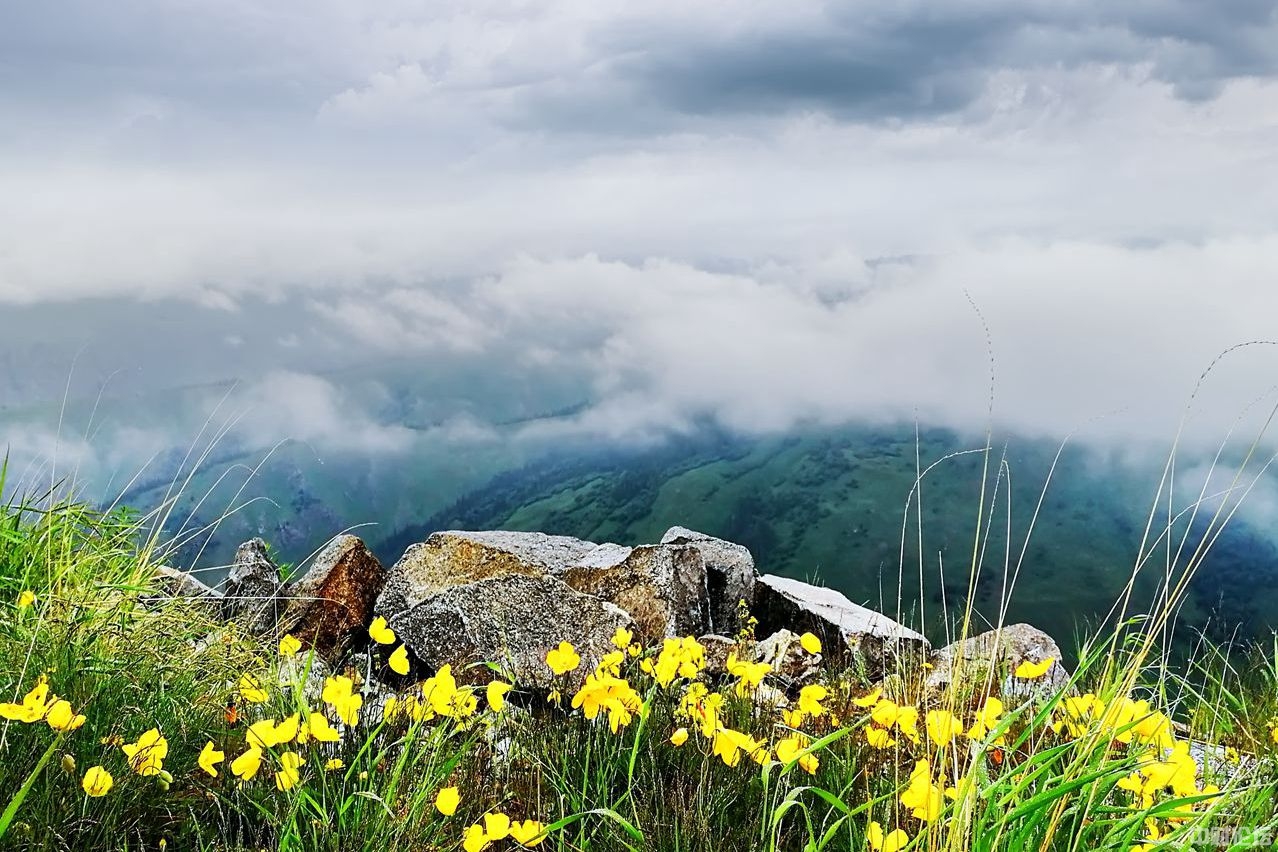 3488761bbe0ec8e4fc.jpg 3488761bbe0ec8e4fc.jpg