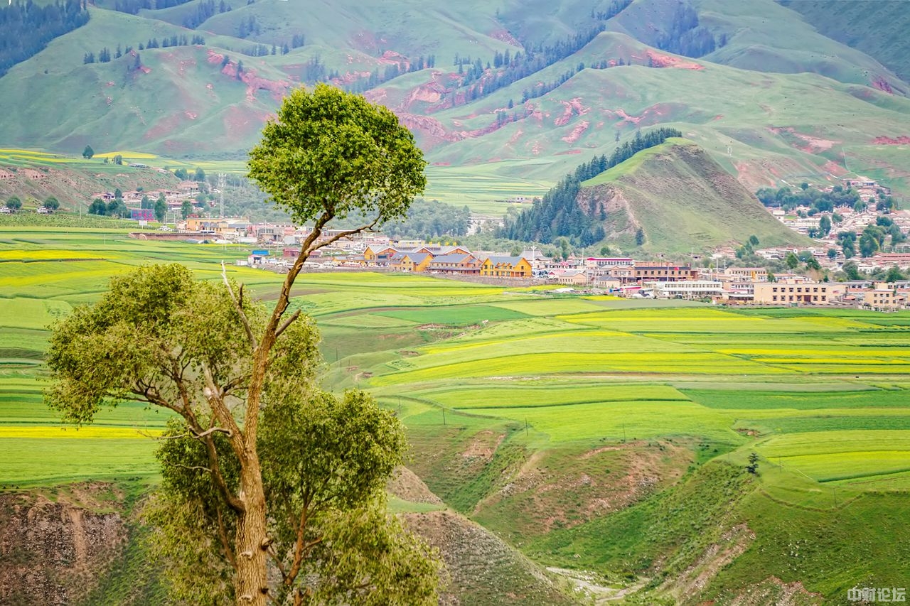 8993061c3c432a3dfc.jpg 8993061c3c432a3dfc.jpg