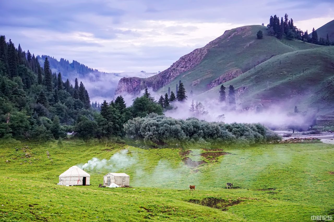 1843261ca5b8577af7.jpg 1843261ca5b8577af7.jpg