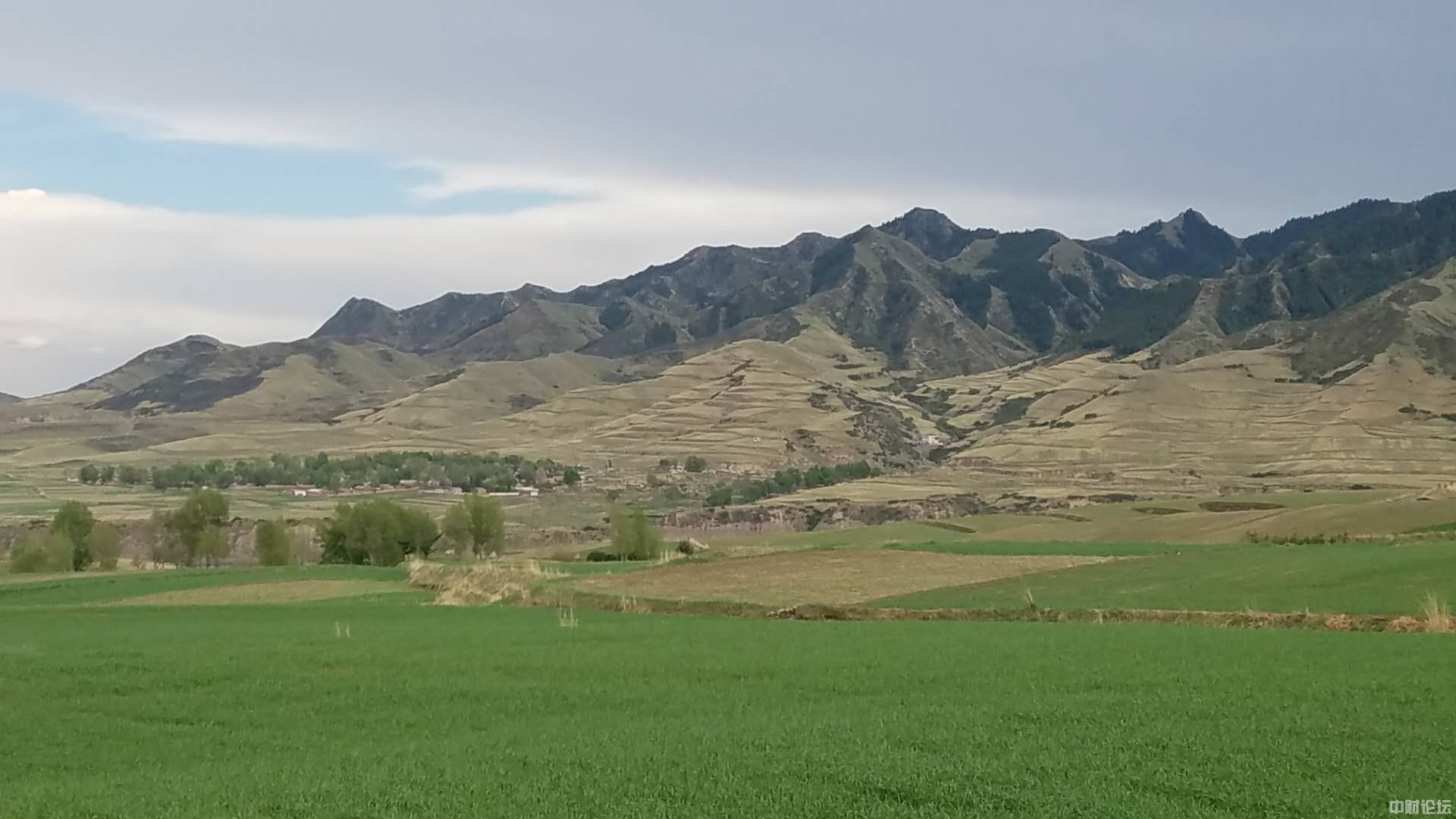 4362361d39609adf6e.jpg 4362361d39609adf6e.jpg