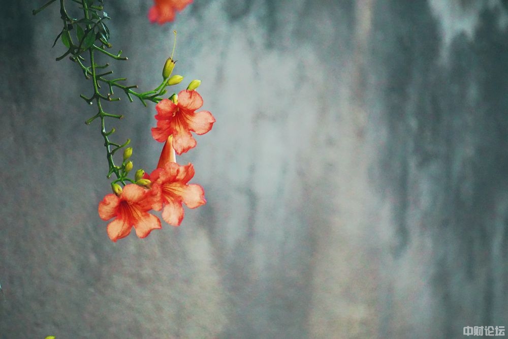 6280361d64062d4a2f.jpg 6280361d64062d4a2f.jpg