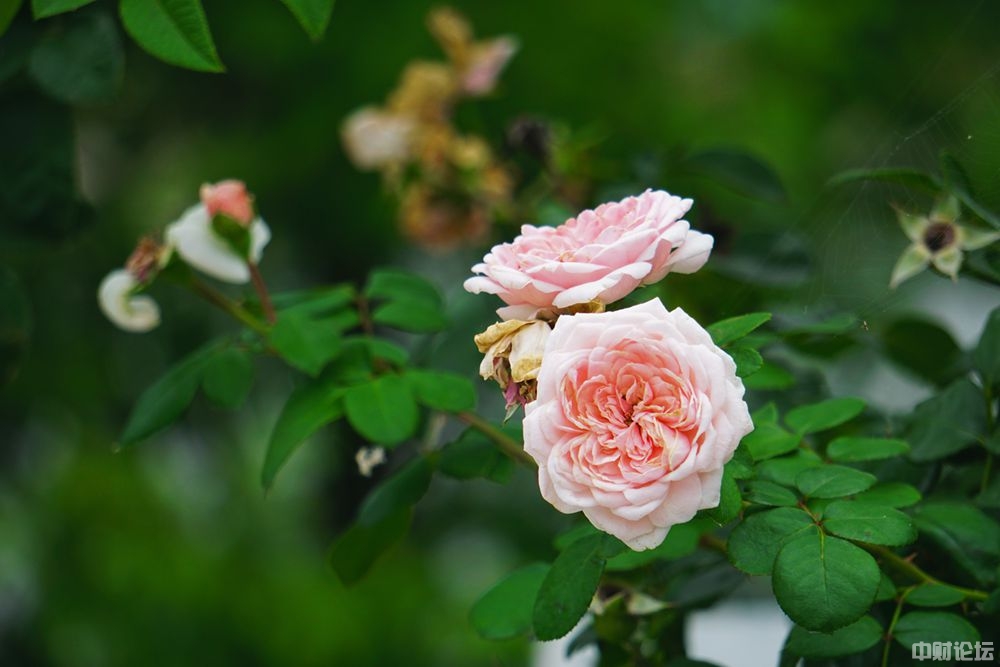 1117361dbd7dcb2594.jpg 1117361dbd7dcb2594.jpg