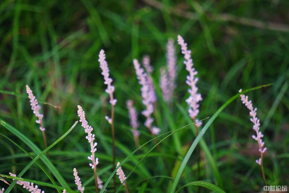 7584361de2136a8978.jpg 7584361de2136a8978.jpg