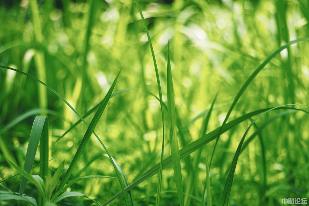 6423261df75175d65c.jpg 6423261df75175d65c.jpg