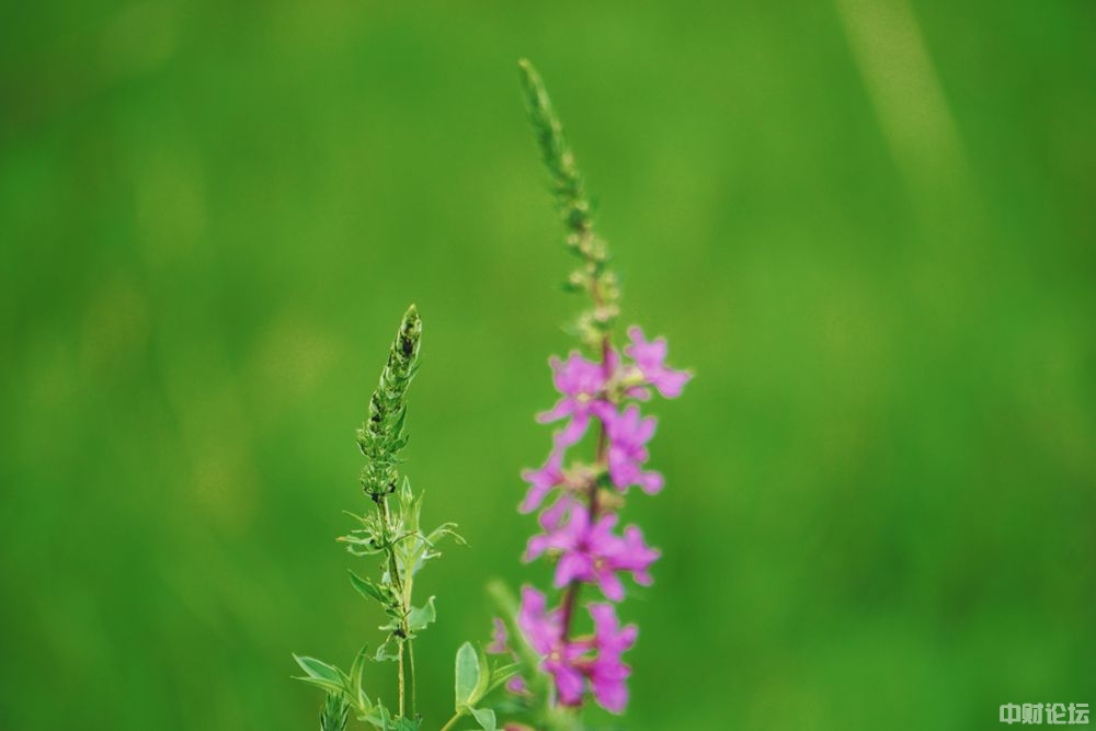 5576861e0c9c7e06c1.jpg 5576861e0c9c7e06c1.jpg