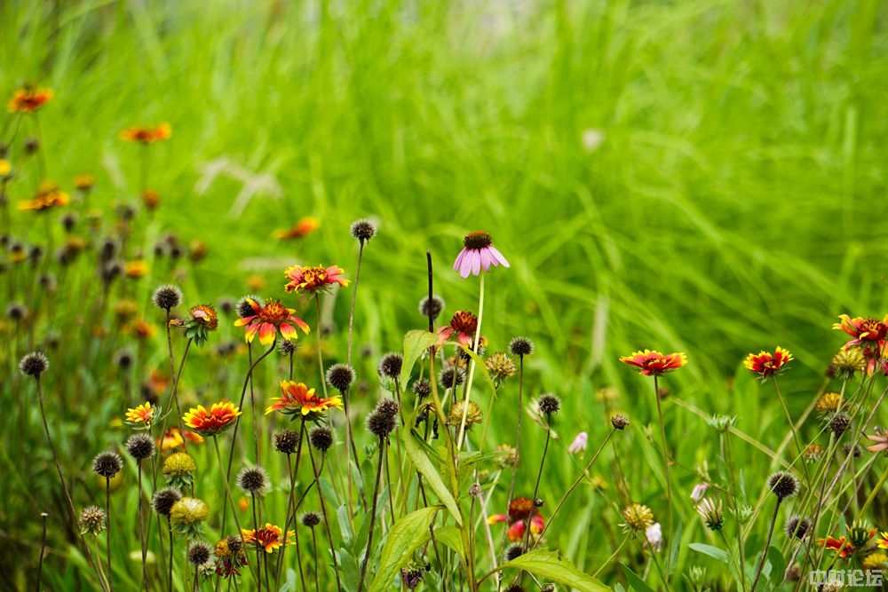 8698261e60d03d45e6.jpg 8698261e60d03d45e6.jpg