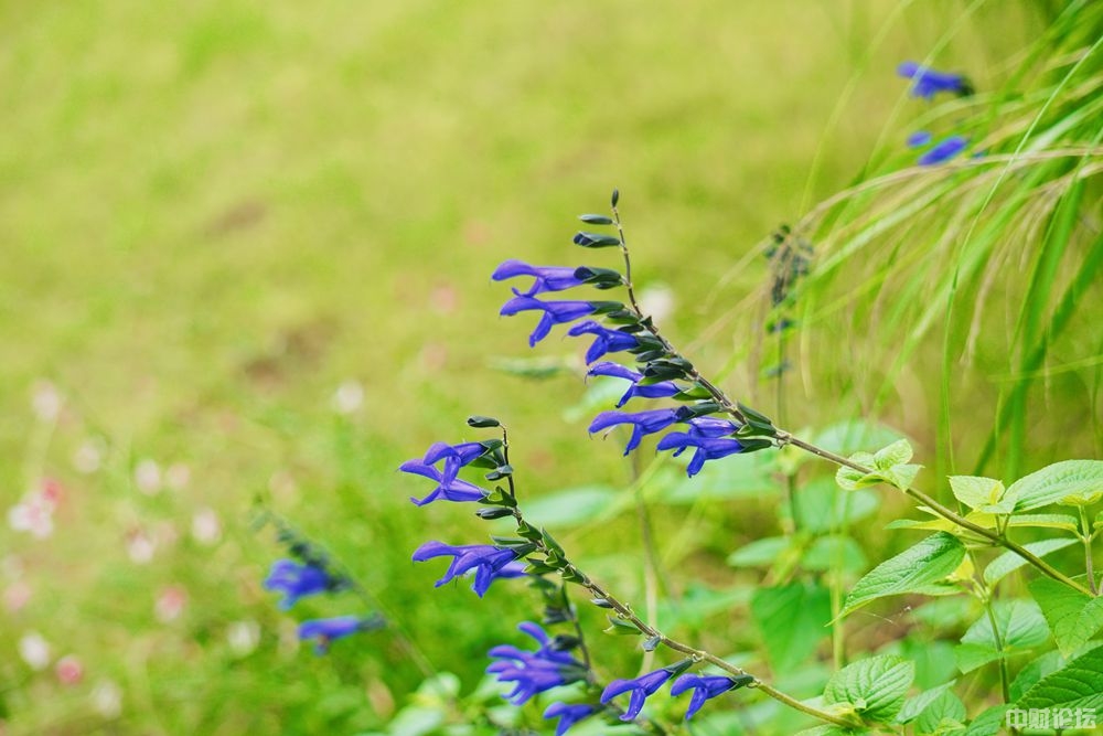 4749061e7acf945f6e.jpg 4749061e7acf945f6e.jpg