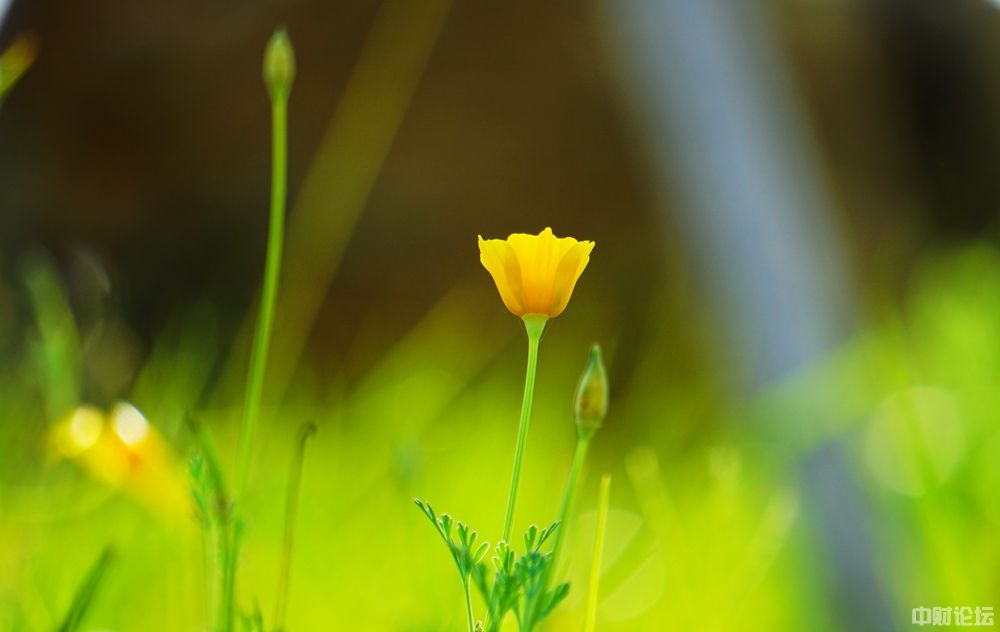 9358761ea09ad83d04.jpg 9358761ea09ad83d04.jpg