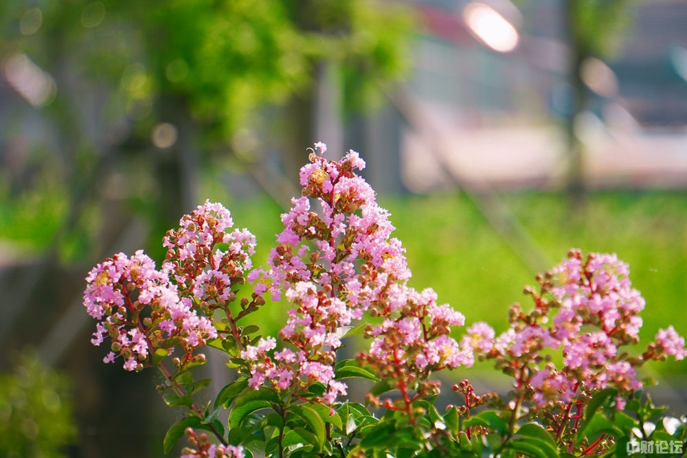 3308861edfaa5b8c3c.jpg 3308861edfaa5b8c3c.jpg