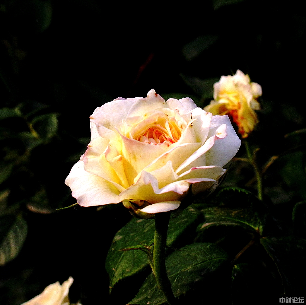 522876200694f0d97a.jpg 522876200694f0d97a.jpg